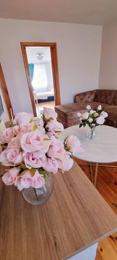 Jaukus Apartamentai Miesto Centre Шяуляй Экстерьер фото